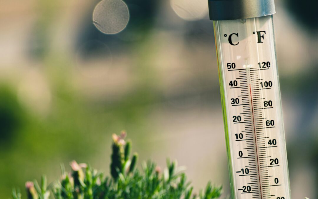 Canicule – Mesures préfectorales applicables